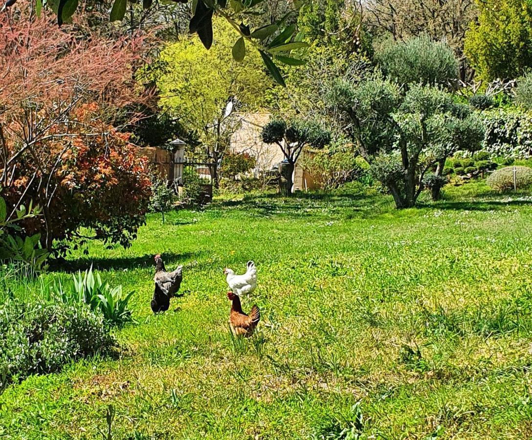 Monteze Paradis Saint-Christol-lès-Alès 外观 照片